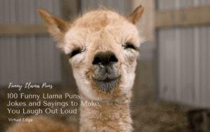 100 Funny Llama Puns, Jokes and Sayings to Make You Laugh Out Loud ...