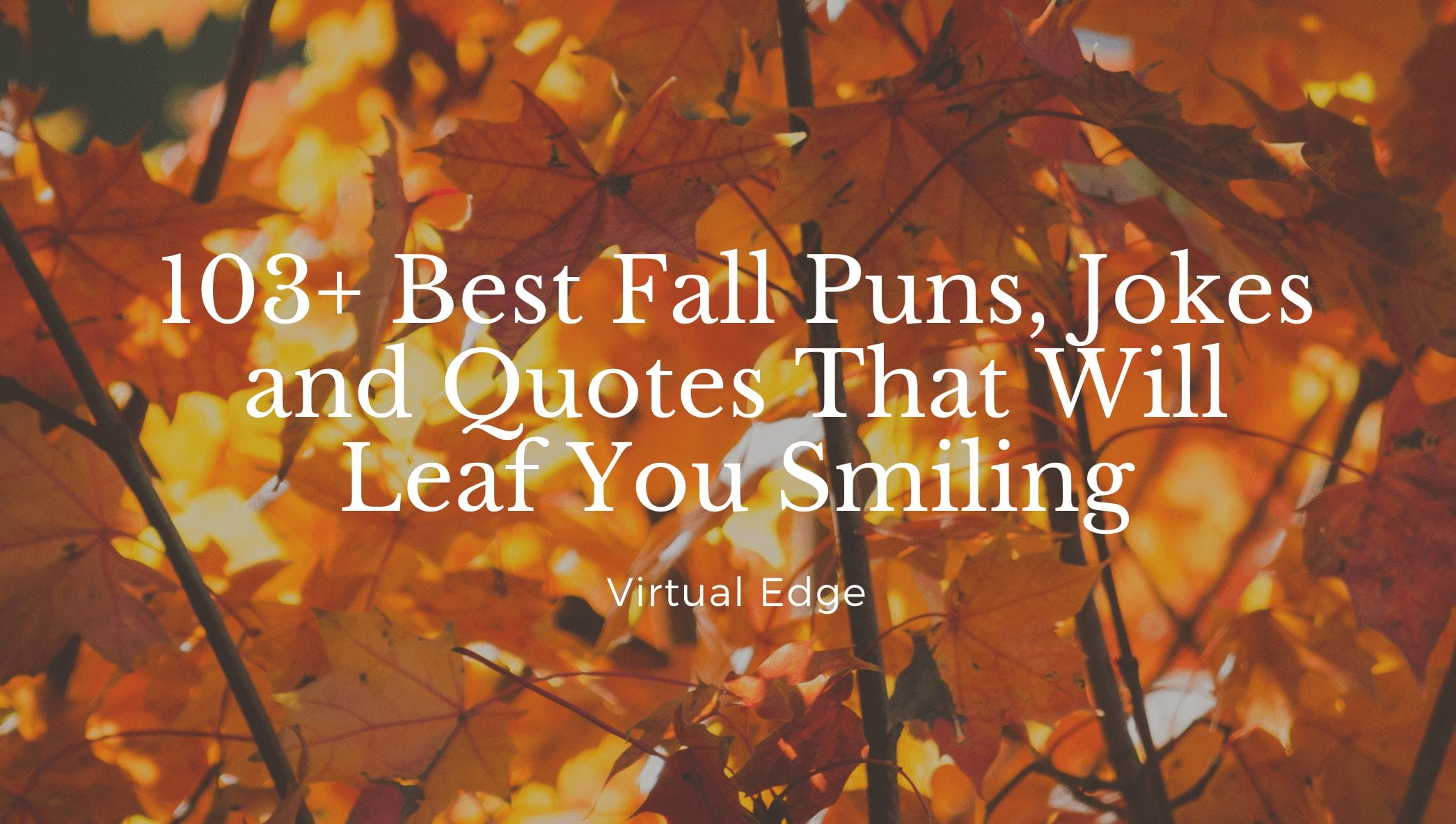 Funny Quotes About Fall