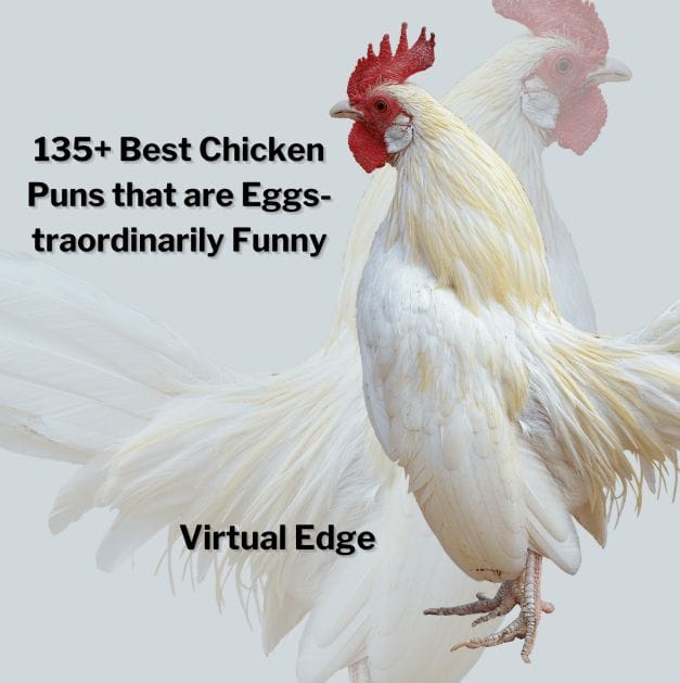 135+ Best Chicken Puns that are Eggs-traordinarily Funny