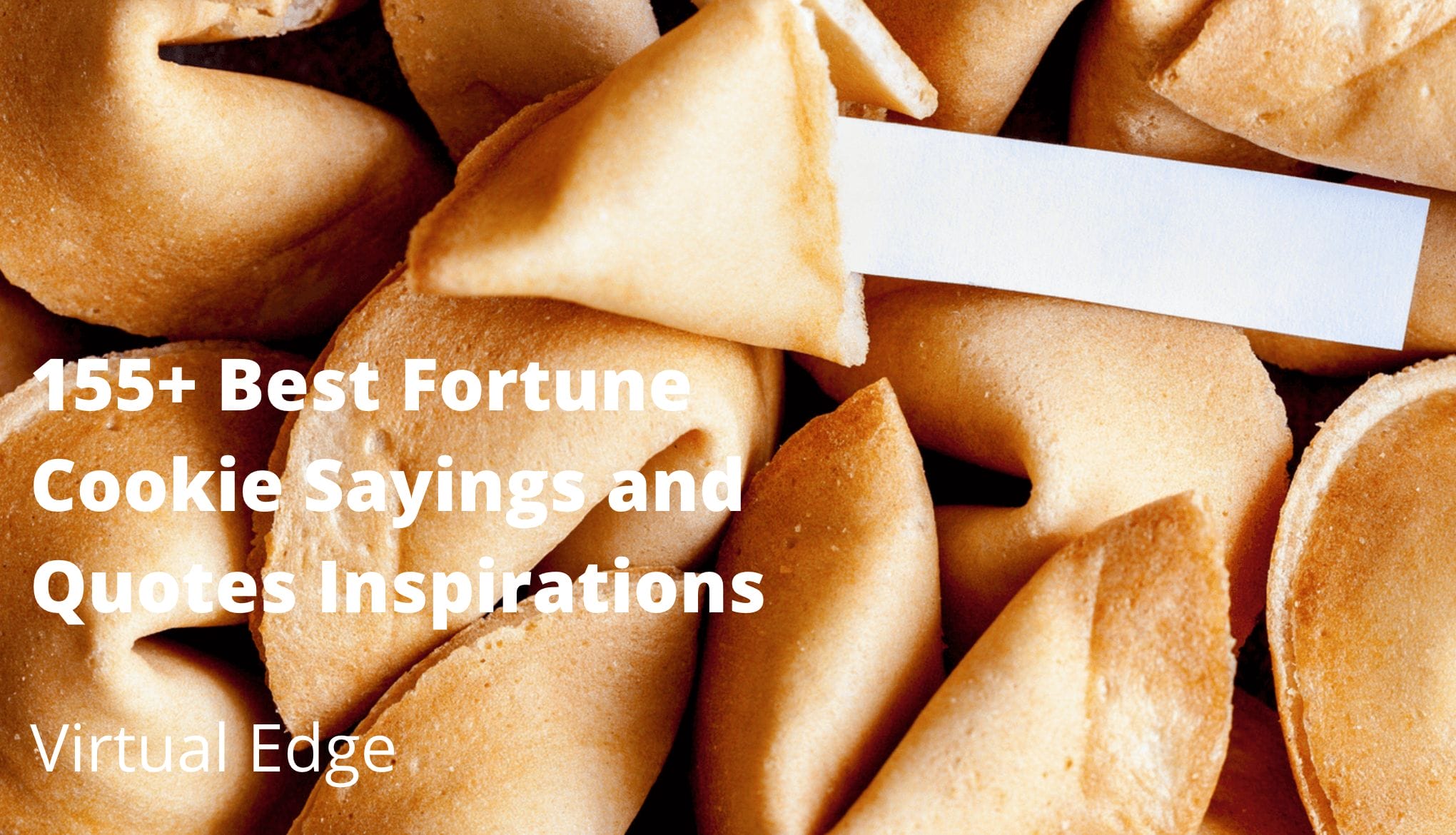 155+ Best Fortune Cookie Sayings and Quotes Inspirations