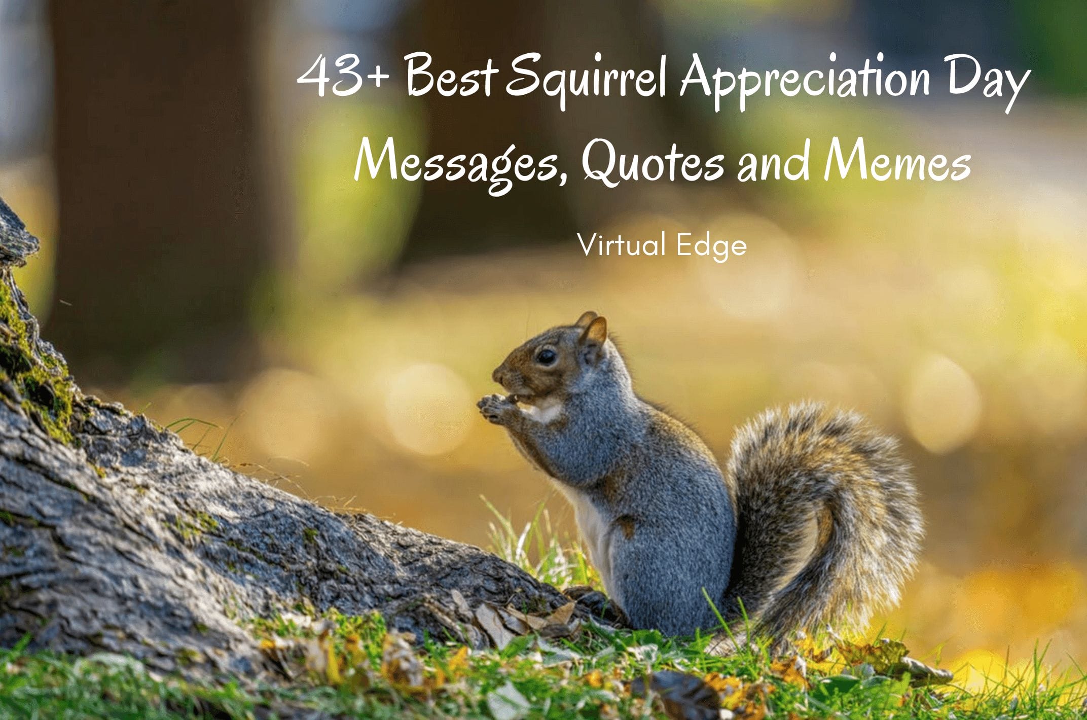 43+ Best Squirrel Appreciation Day Messages, Quotes And Memes | Virtual Edge