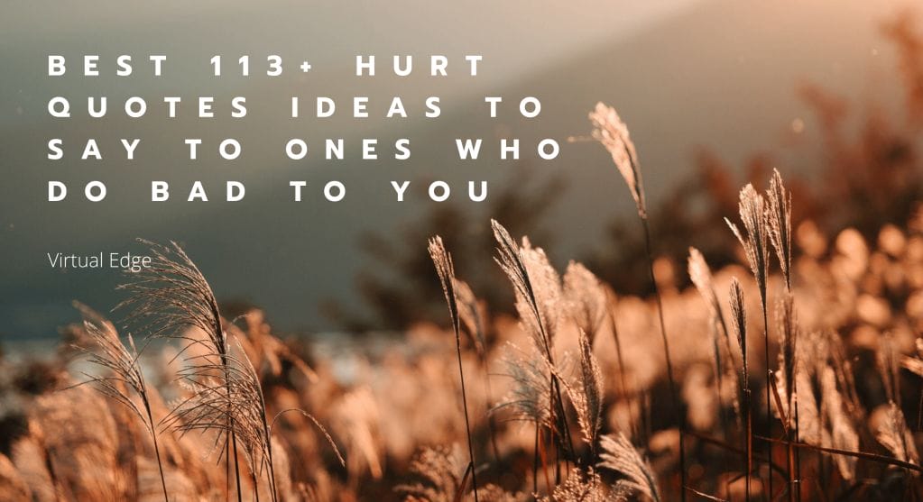 Best 113+ Hurt Quotes Ideas to Say to Ones Who Do Bad to You