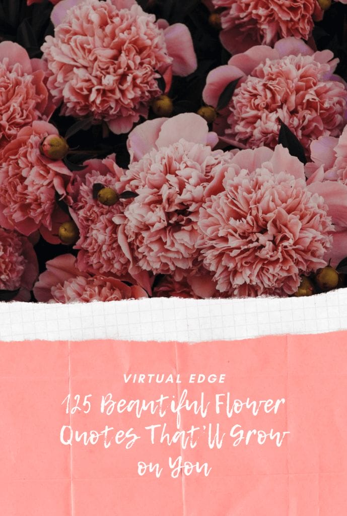 125 Beautiful Flower Quotes That’ll Grow on You