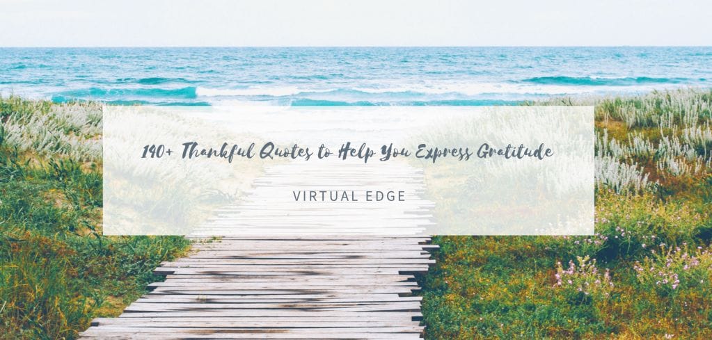 140+ Thankful Quotes to Help You Express Gratitude