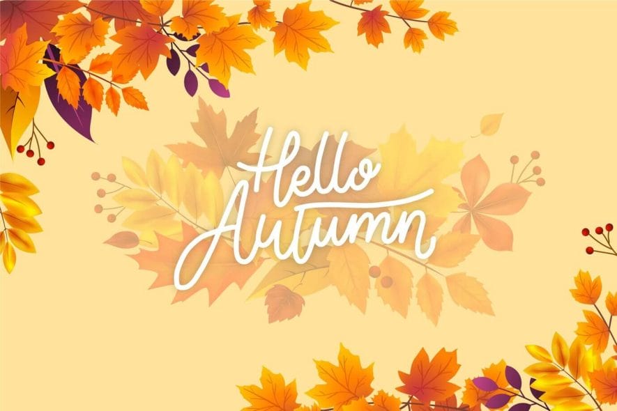 103+ Best Fall Puns, Jokes and Quotes That Will Leaf You Smiling ...