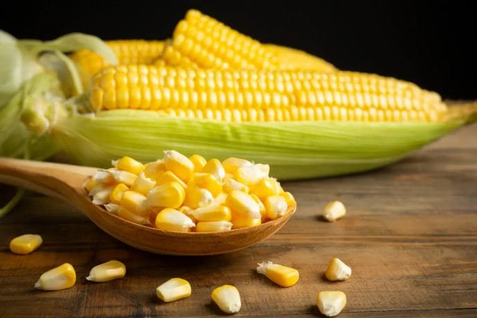List of Funny Puns about Corn